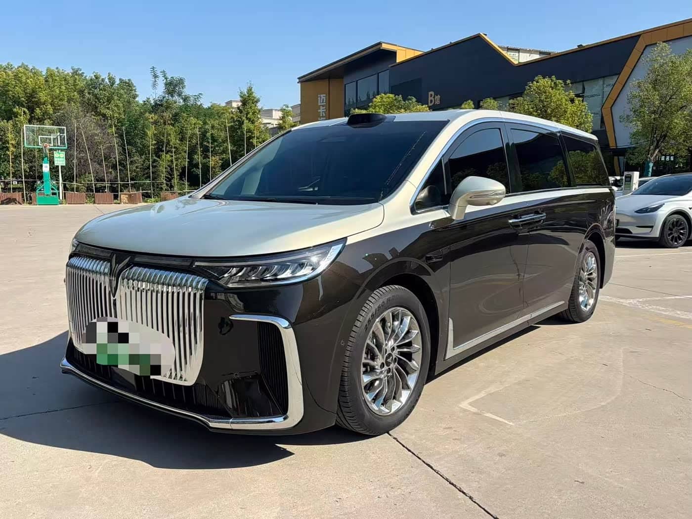 Voyah Auto Voyah Dreamer