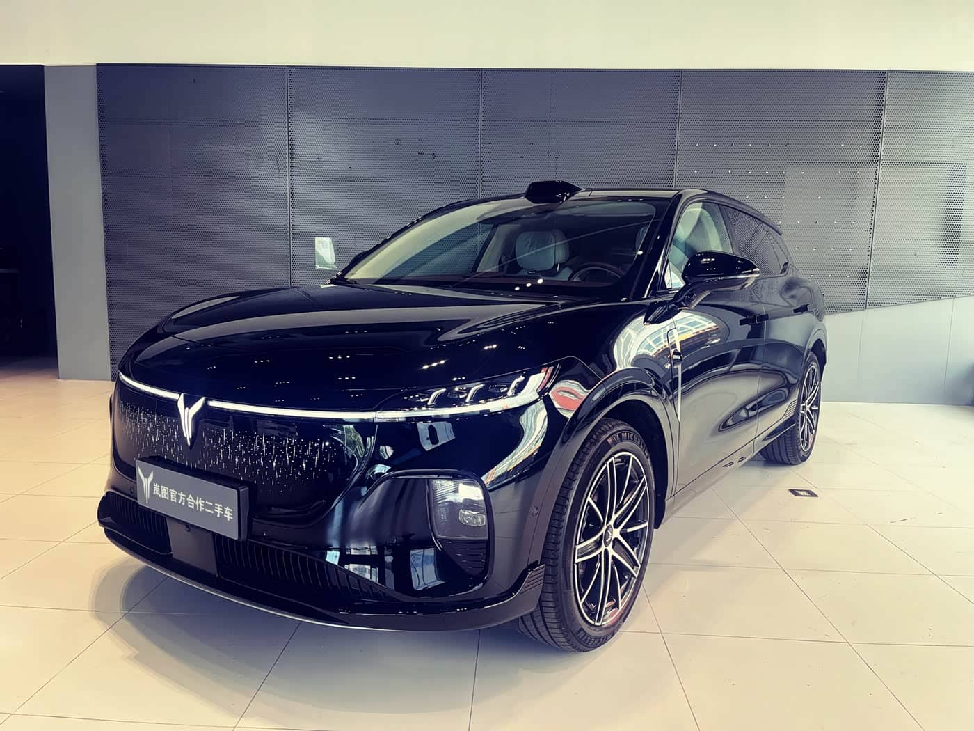 Voyah Auto Voyah Zhiyin