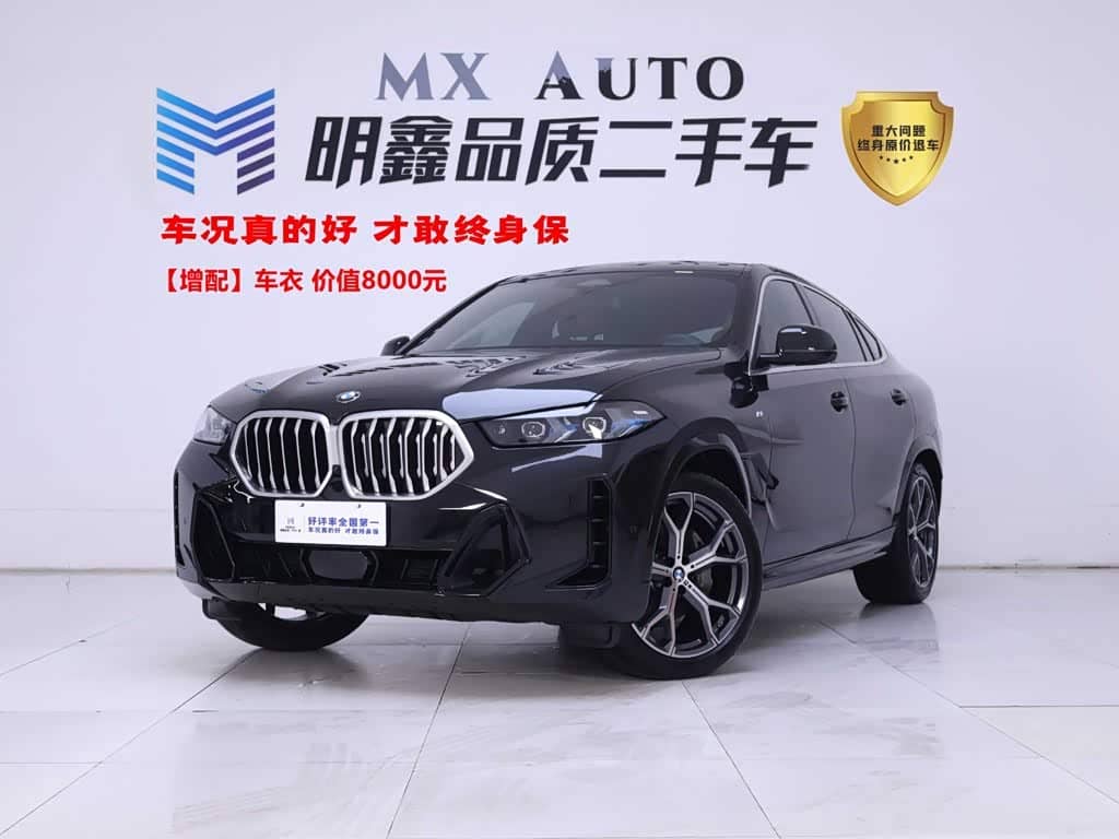 BMW X6