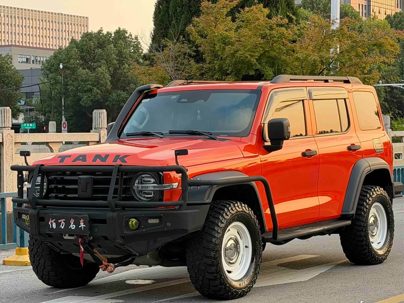 Tank 300