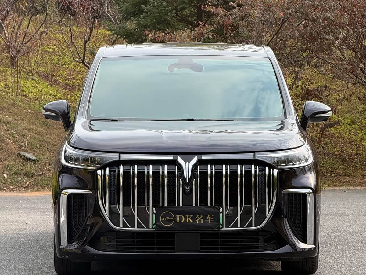 Voyah Auto Voyah Dreamer