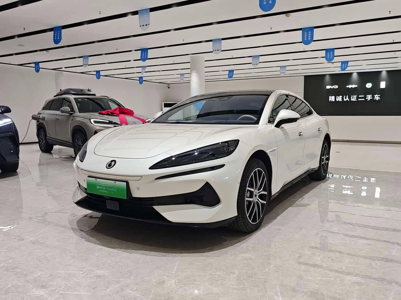 Denza Z9