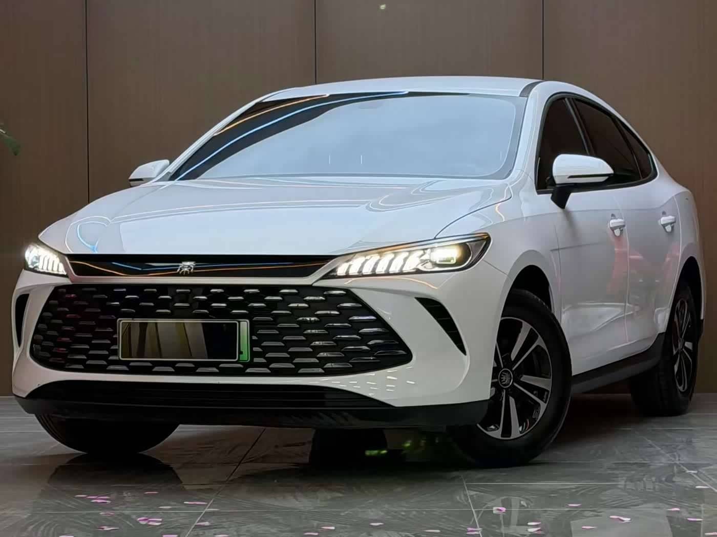 BYD Qin PLUS
