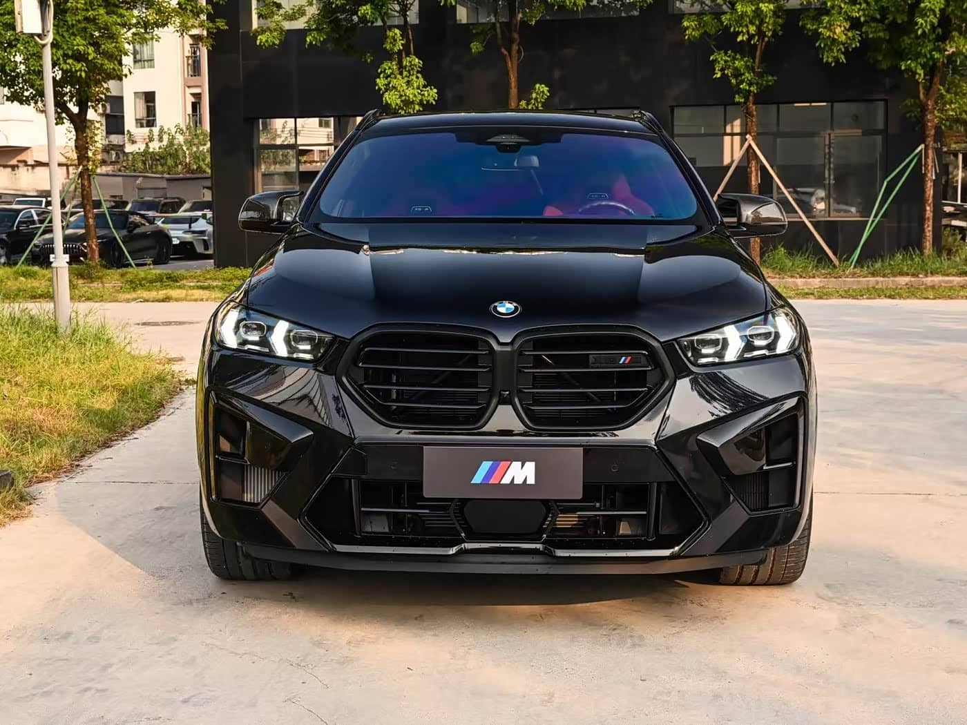 BMW X6 M