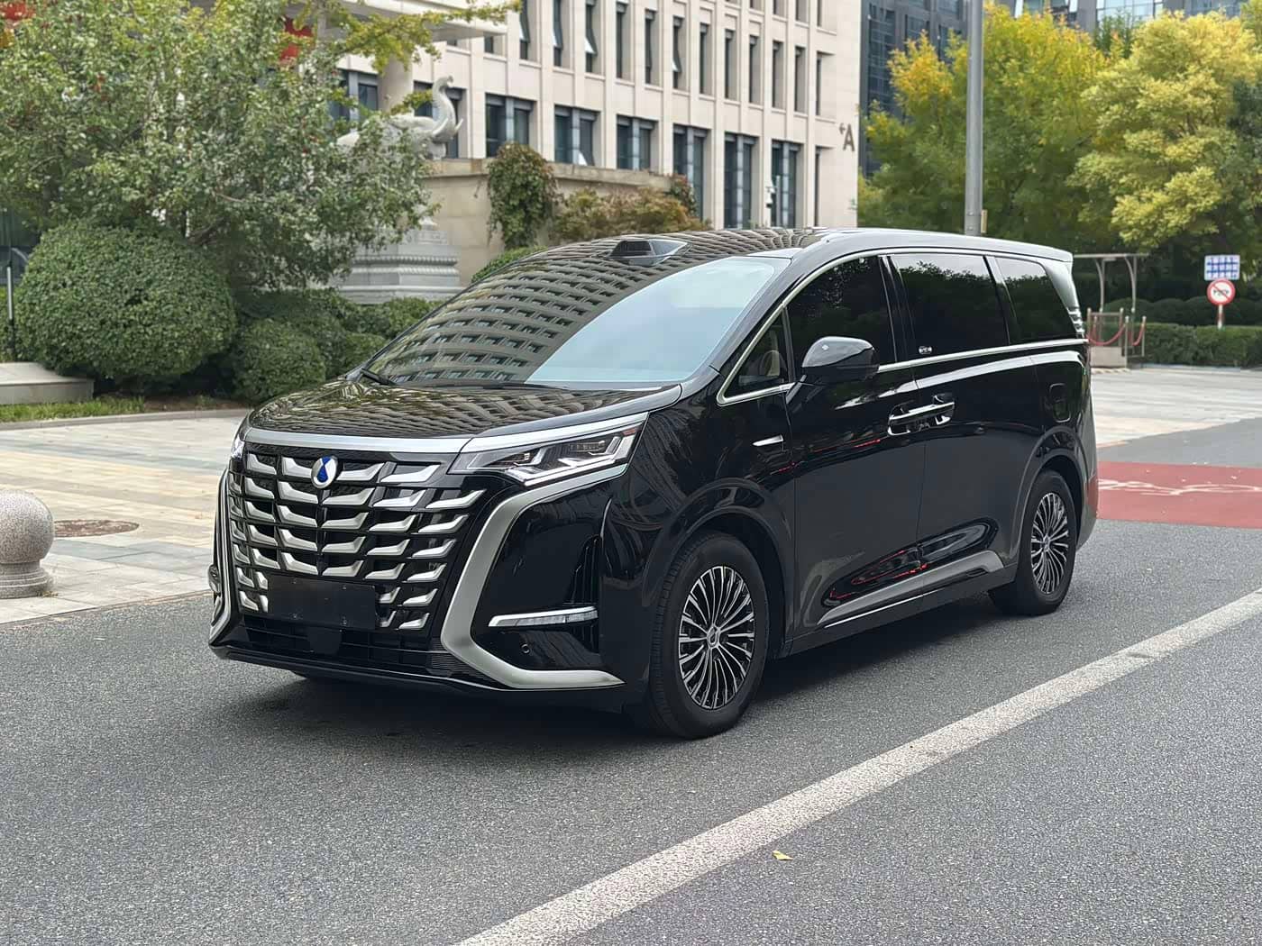 Denza D9
