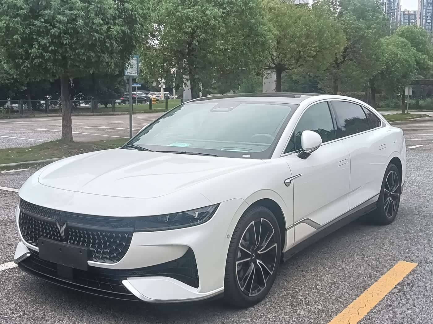 Voyah Auto VOYAH Zhuiguang