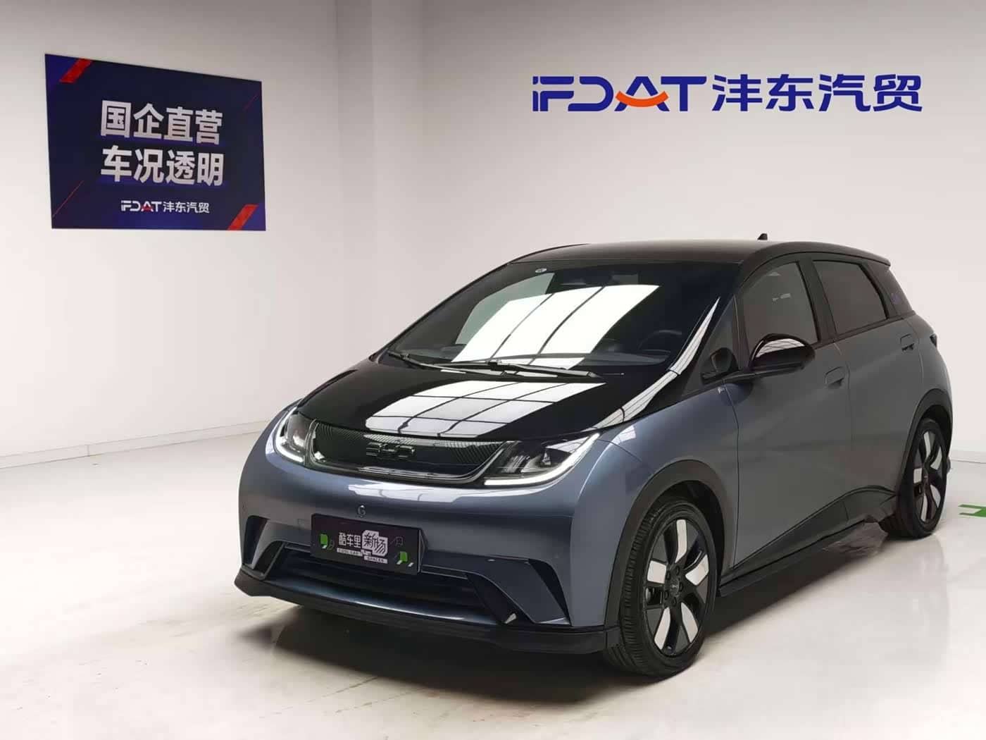 BYD Dolphin