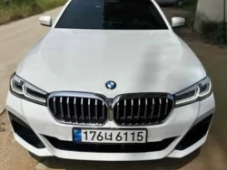 BMW 530E Гибрид 0